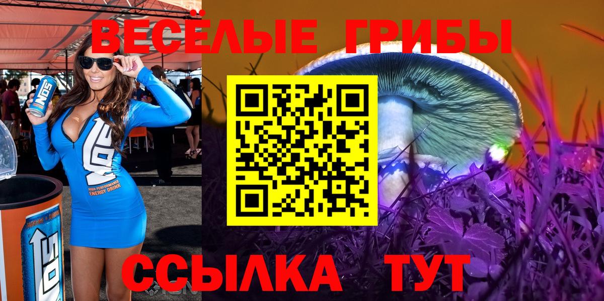 Камень-на-Оби  Псилоцибиновые грибы GOLDEN TEACHER  Псилоцибиновые грибы ЛСД  Вход с VPN 